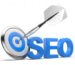 Seo check